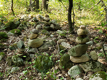 20200915_155113[1].jpg